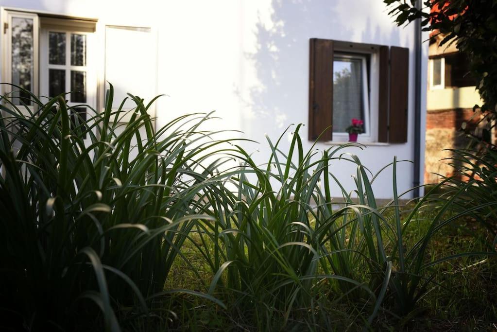 La Piccola Casa Di Via Ricotti *